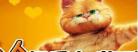 加菲猫2双猫记国语版